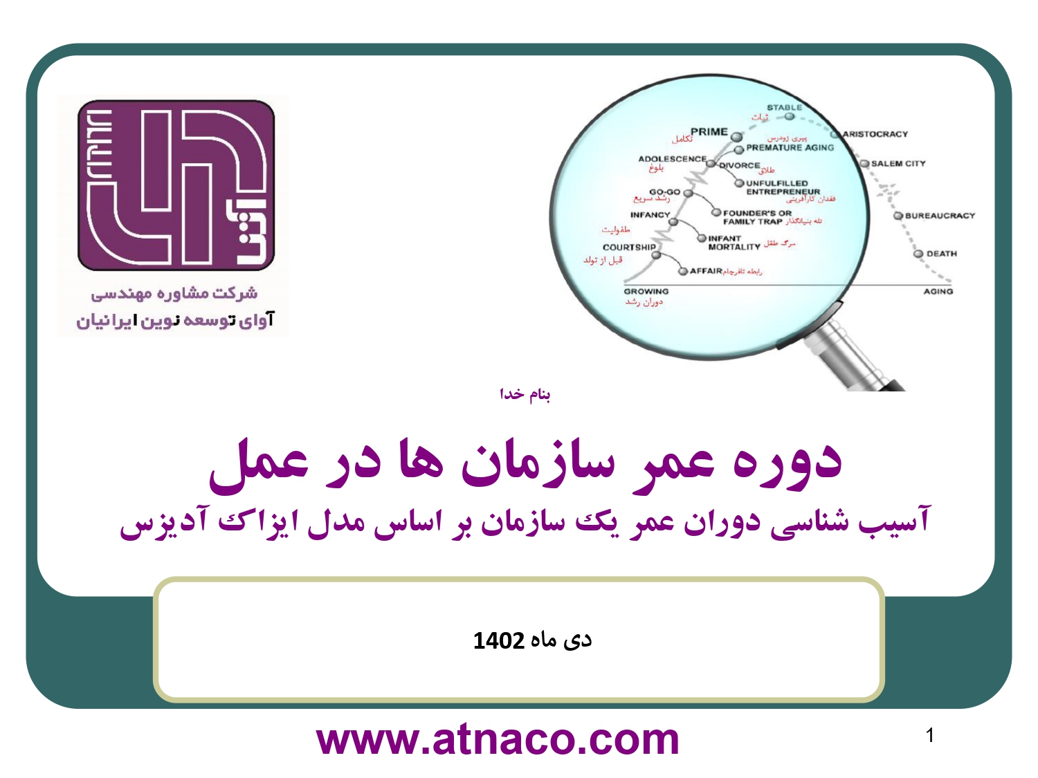 دوره عمر سازمان organization life cycle Adizes